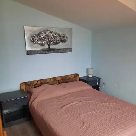 Visnja Apartment *