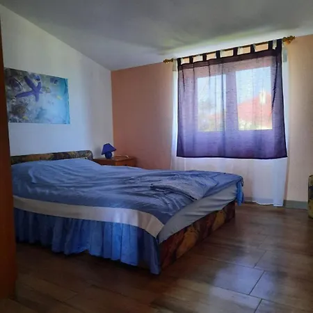 Visnja Apartman Nin